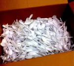 The room spoons aftermath