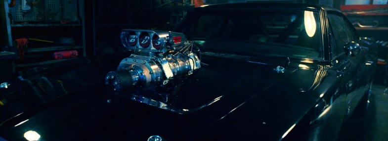 Vin Diesel, Paul Walker, Dwayne Johnson, Michelle Rodriguez, Tyrese Gibson, Chris Bridges, Jordana Brewster, Kurt Russell, and Jason Statham, Tony Jaa, Ronda Rousey