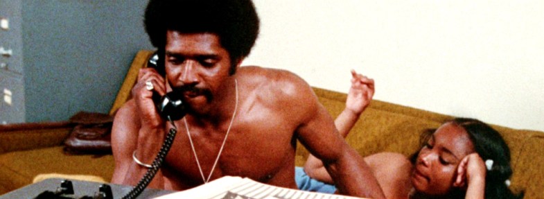 The Swinging Cheerleaders Afro Jack Hill, Jo Johnston, Rainbeaux Smith, Colleen Camp, Rosanne Katon, Ric Carrott, Ian Sander, George D. Wallace, John Quade, Robert Lee Minor, Mae Mercer, Gary Schneider,