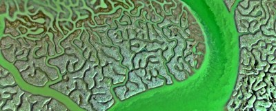 Marshland, La isla minima, Raúl Arévalo, Javier Gutiérrez, Antonio de la Torre, Nerea Barros, Jesús Castro, Alberto Rodríguez, Mercedes León, Adelfa Calvo, Manolo Solo, Salvador Reina, Jesús Carroza, Juan Carlos Villenueva, Alberto González, Manuel Salas, Cecilia Villanueva, Ana Tomeno, 