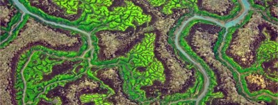 Marshland, La isla minima, Raúl Arévalo, Javier Gutiérrez, Antonio de la Torre, Nerea Barros, Jesús Castro, Alberto Rodríguez, Mercedes León, Adelfa Calvo, Manolo Solo, Salvador Reina, Jesús Carroza, Juan Carlos Villenueva, Alberto González, Manuel Salas, Cecilia Villanueva, Ana Tomeno, 