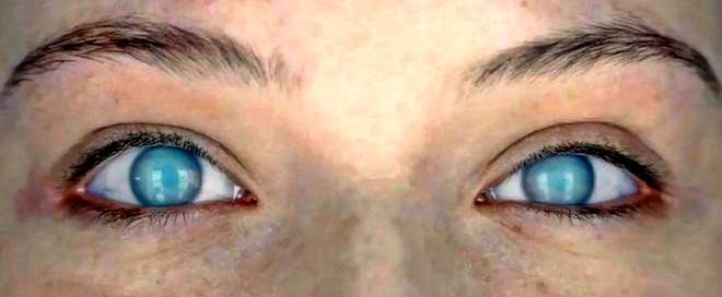 The Autopsy of Jane Doe Emile Hirsch, Brian Cox, Ophelia Lovibond, Michael McElhatton, Olwen Kelly, Parker Sawyers, André Øvredal